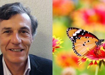 Expert Opinion – The environmental assessment of projects: a shame (5/7)