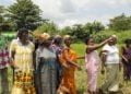 Ivory Coast: field work to defuse conflict around the (…)