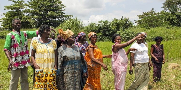 Ivory Coast: field work to defuse conflict around the (…)