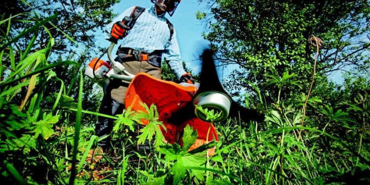 Pole Employment. Discover the job offers of the Journal d'Elbeuf