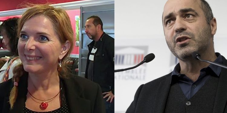 Municipal 2020 in Montpellier: the Greens are divided