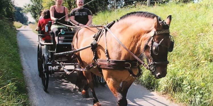 In Rouen, a school bus transport project is not unanimous