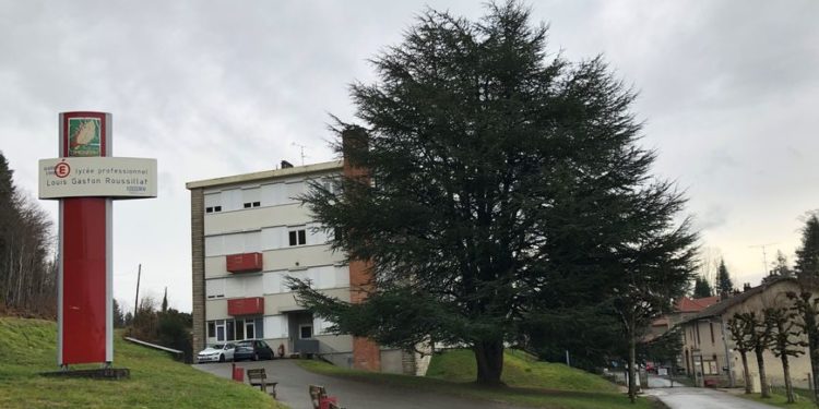 Ambrikela's high school comrades mobilize against his expulsion