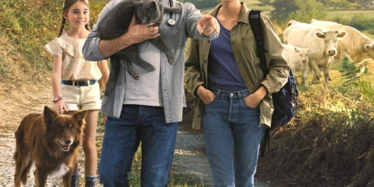 Cinema: Veterinarians in the spotlight