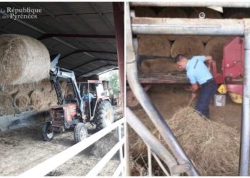 Béarn / Hautes-Pyrénées / Landes: the 10 most unusual news of 2019