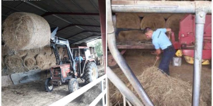 Béarn / Hautes-Pyrénées / Landes: the 10 most unusual news of 2019