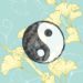 All about traditional Chinese medicine