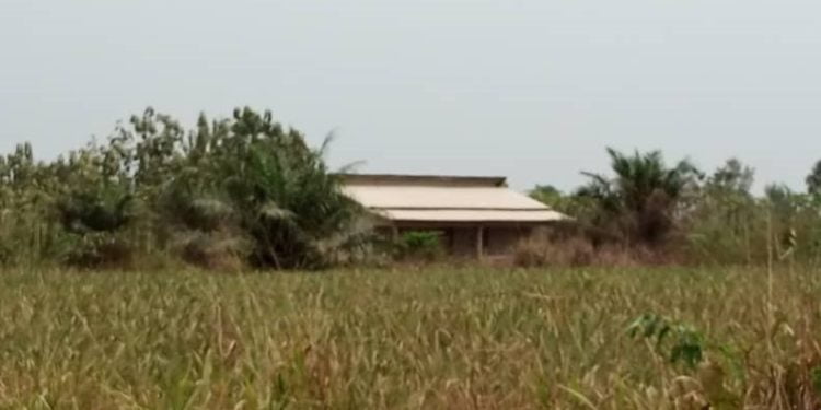 Real estate in Benin: secure plots at low prices at “Seven Service Plus”