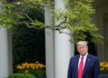 timid start to deconfinement, Trump cuts WHO supplies