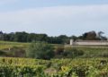 From Bergerac to Bordeaux, the vineyards offer to take advantage of the first weekends of deconfinement