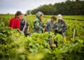 the puzzle of the workforce