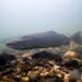 DOCUMENTAIRE. La rivière Allier, nurserie du saumon atlantique, baroudeur en péril