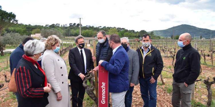 Var: Mobilization around farmers and winegrowers after the severe frost episode