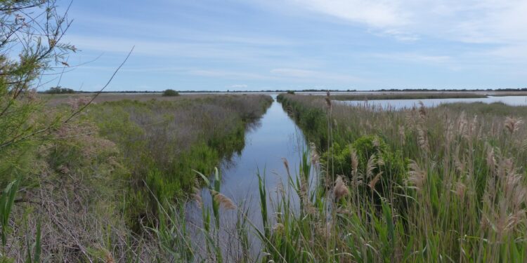 la France s’apprête à fêter la journée mondiale de la biodiversité