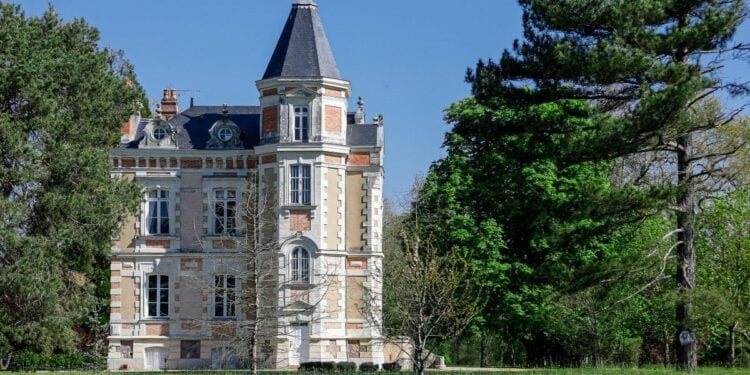 Buying a cat in French is cheaper than in Los Angeles Deartown