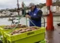 Brexit fishing dispute: “All options are on the table,” warns France in UK