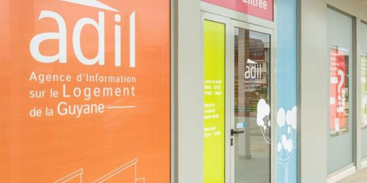 Becoming an owner: the keys to getting there with Adil