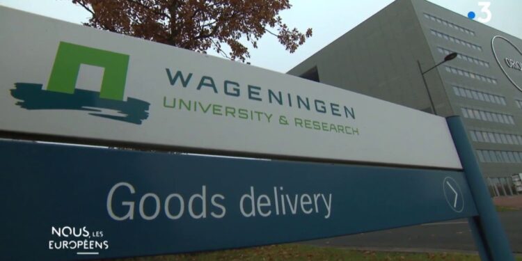 15,000 students, researchers and entrepreneurs are cooking up the food of the future on the “Food Valley” campus