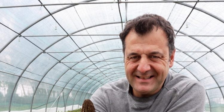 He started growing morels in Bourg-de-Visa