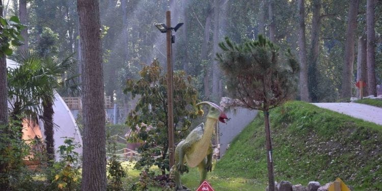 Rififi at the campsite, Dino Parc, the hard discount arrives… The 10 news of the week to remember