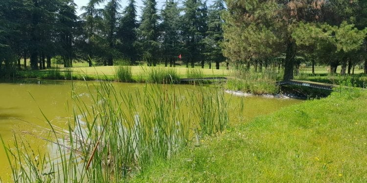 Qui vend et qui achète un golf aujourd’hui en France ?