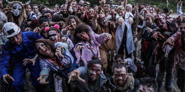 Loire-Atlantique: a big organized game with zombies in the middle of the night in the forest